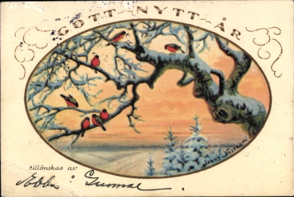 Artist Postcard Nyström, Jenny, Happy New Year, Birds on a snowy branch