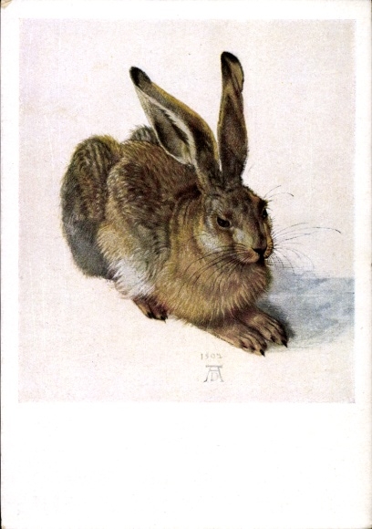 Artist Albrecht Dürer, Young Hare