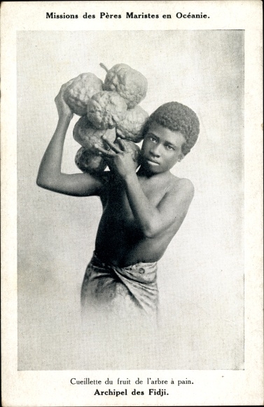 Postcard Fiji, Missions of the Marist Fathers, Picking Fruit from the Breadfruit Tree