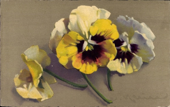 Artist Postcard Klein, Catharina, congratulations, pansies