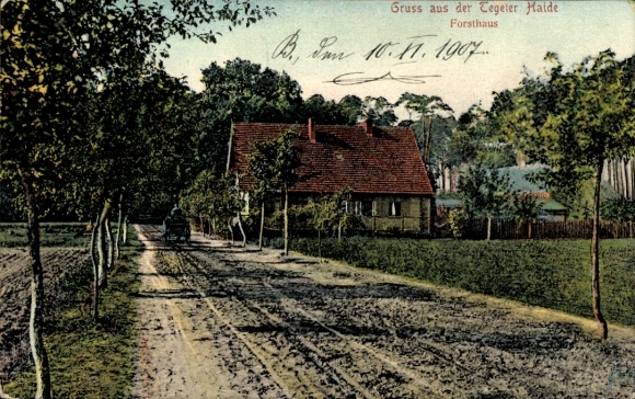 Postcard Berlin Reinickendorf Tegel, forester's house in the Tegeler Haide, exterior view, path, trees