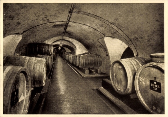 Postcard Bingen am Rhein, Haus Fromm, wine wholesaler, Moselkeller