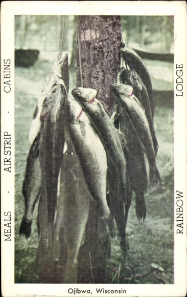 Postcard Ojibwa Wisconsin USA, fish, fishing