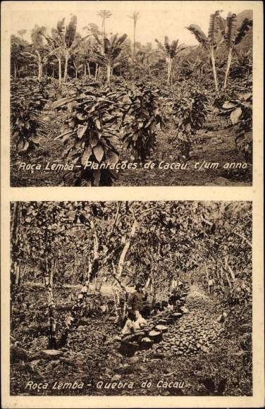 Postcard São Tomé und Príncipe, Roça Lembá, Cocoa plantations