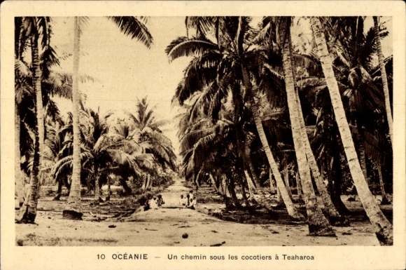 CPA Teaharoa Polynésie française, Un chemin sous les cocotiers