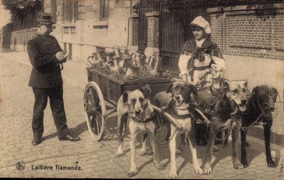 Milkmaid in Belgian costume, dog cart, policeman