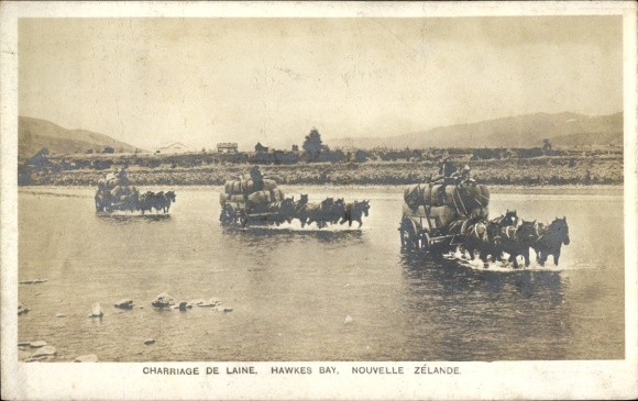 PC Hawke's Bay New Zealand, Charriage de Laine