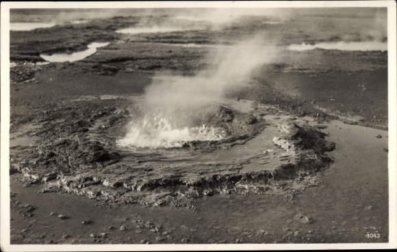 Postcard Island, view of the geyser