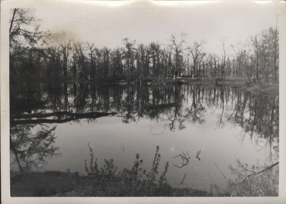 Original photo Berlin Tiergarten, pond in the Tiergarten, around 1946