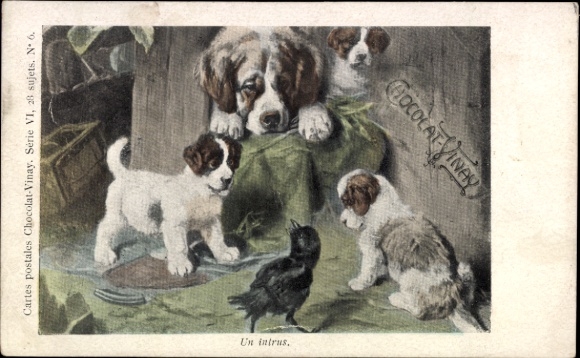 Artist Postcard Bernhardiner, two puppies and raven, Chocolat Vinay