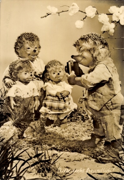 Postcard Mecki the hedgehog, Please be friendly, hedgehog family, camera