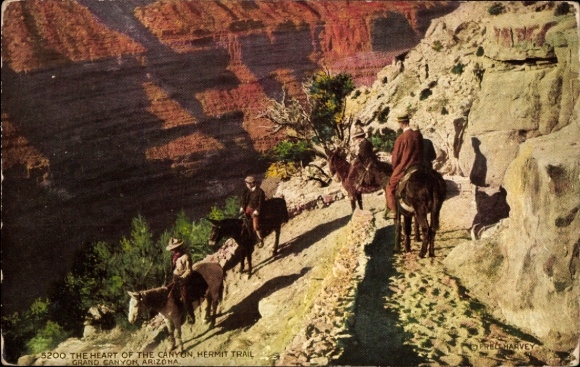 Postcard Grand Canyon Arizona USA, Grand Canyon, Hermit Trail, rider, donkey, rocks, trees