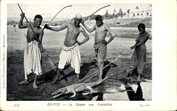 Postcard Egypt, La Chasse aux Crocodiles, Crocodile Hunt