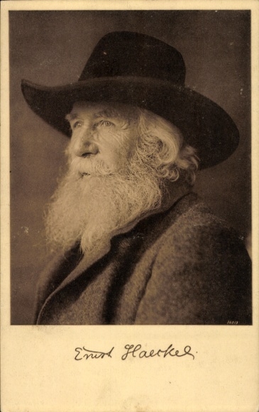 portrait of zoologist and philosopher Ernst Haeckel