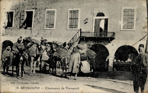 Postcard Beirut Beyrouth Lebanon, Chameaux de Transport, horses with carts, people in traditional costume