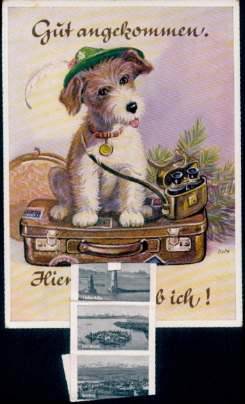 Leporello Postcard Langenargen on Lake Constance, Lindau, Panorama, Harbor