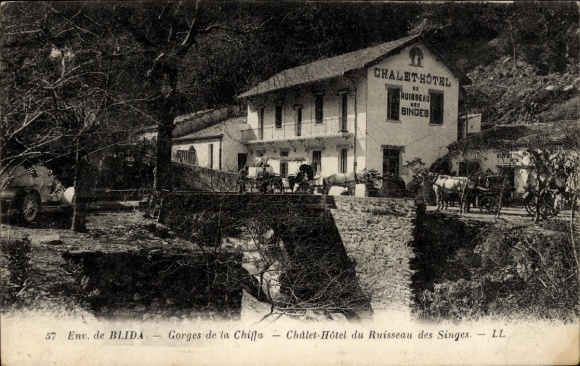 Postcard Blida Algeria, Chalet Hotel, Ruisseau des Singes, Gorges de la Chifla, Blida