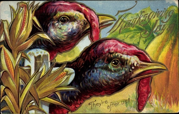 Postcard Thanksgiving, They're after us, Turkeys, Truthahn