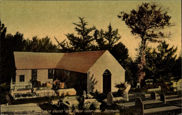 Postcard Bermuda, Devonshire Church, Cedar Tree
