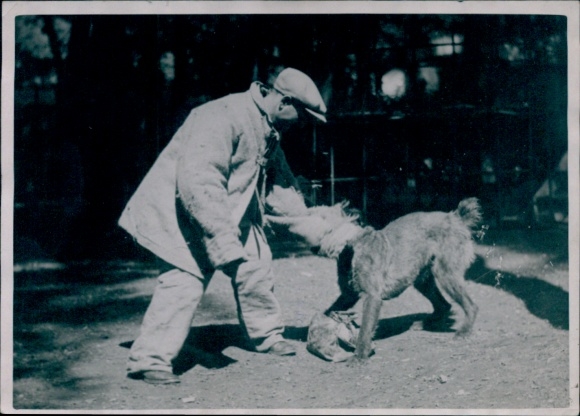 Photo Colonial Exhibition, City of Dogs, Dog Training, Seance