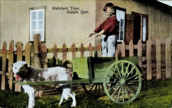 PC Gaspé Quebec Canada, Habitant Type