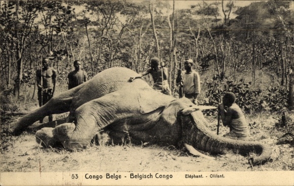 Postal stationery from the Democratic Republic of Congo (DR Congo) and Zaire, featuring elephant hunting, hunters with rifles, and ivory harvesting.