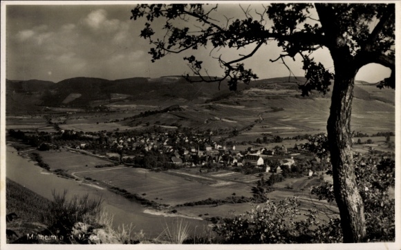 Mülheim an der Mosel, landscape with river, villages, trees, Mülheim an der Mosel