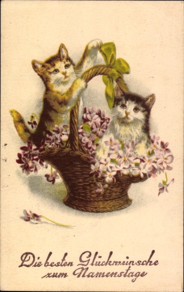Postcard congratulations on your name day, cats, flower basket
