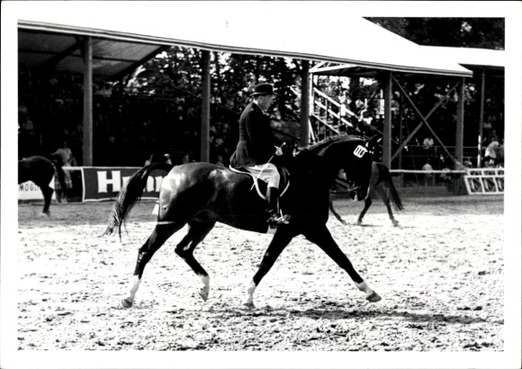 Photo Postcard dressage riding, rider