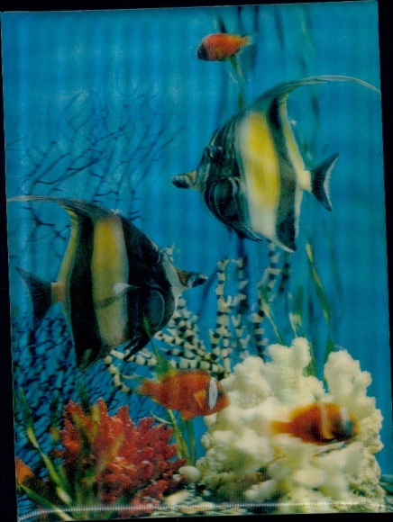 3D Postcard fish in an aquarium