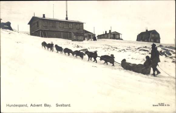 Postcard Spitsbergen Norway, Advent Bay, dog sledding