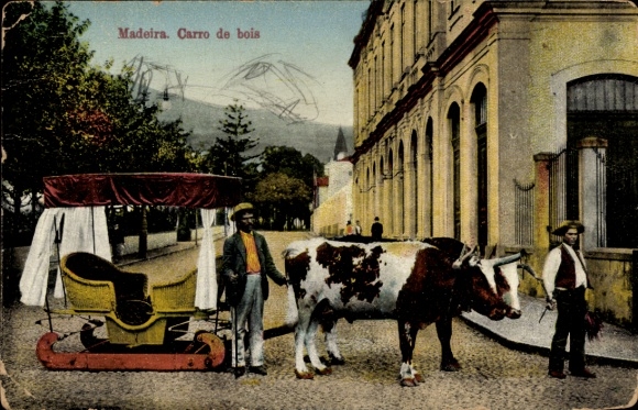 Postcard Madeira Island Portugal, Carro de bois