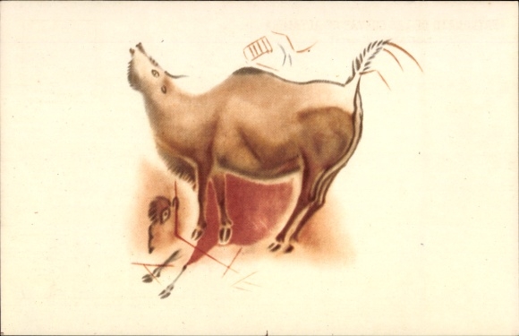 Santander, Cantabria, Spain, Bison, Altamira Caves, prehistoric wall paintings