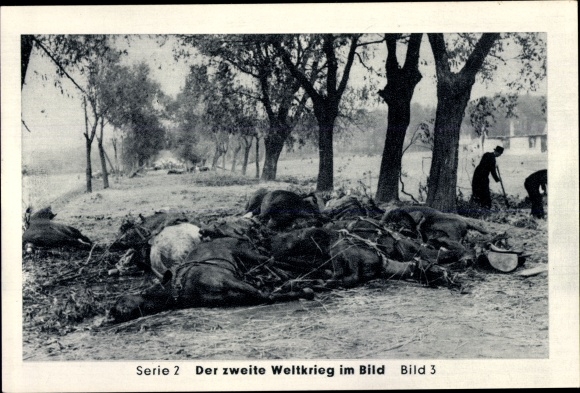 Collection picture The Second World War in the picture, boiler battle, covered column shot at by Stukas