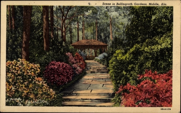 Postcard Florence Alabama