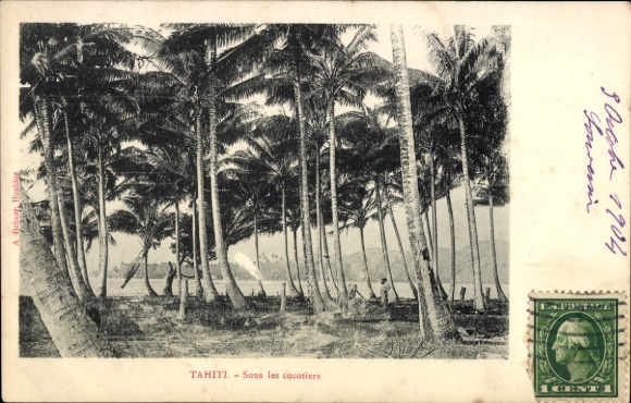 Postcard Tahiti Oceania, palm trees, beach, sea, black and white photo