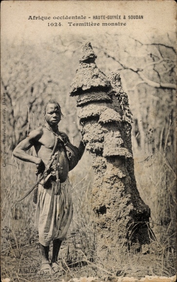 Postcard Guinea, Afrique Occidentale française, Termitière monstre, termite mound