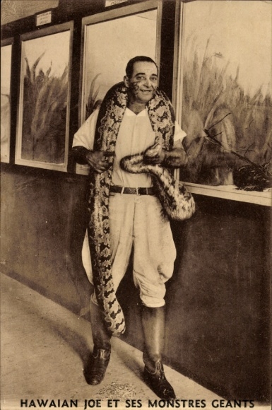 Postcard Hawaiian Joe with giant snake