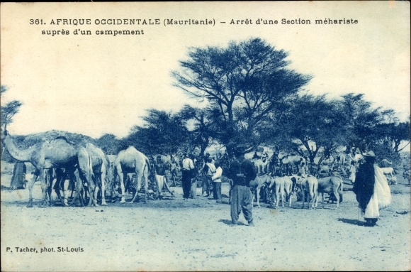 Postcard Mauretanien, Arrest of a Meharist Section near a camp