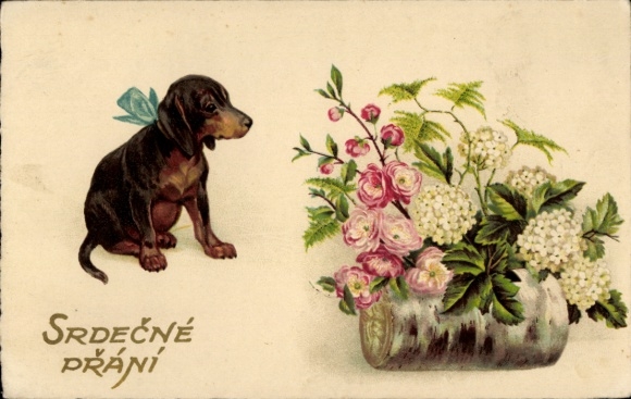 Congratulations, Dachshund, flowers