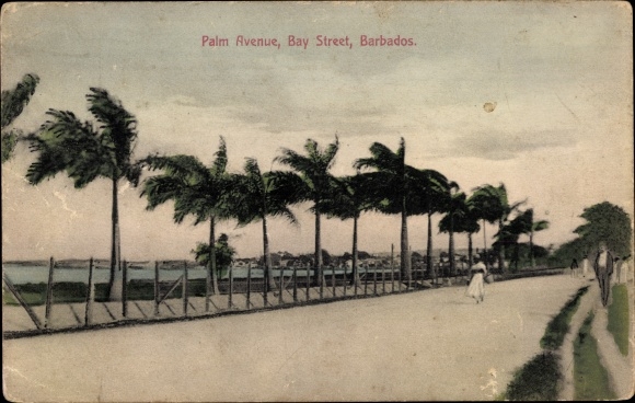 Postcard Barbados, Palm Avenue, Bay Street