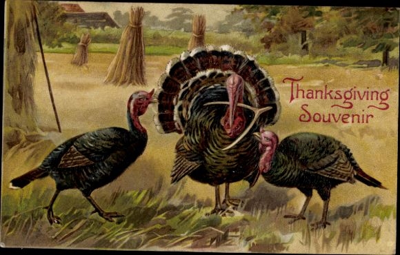 Embossing Card Congratulations Thanksgiving, Turkeys