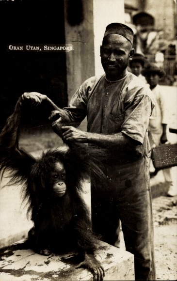 Singapore, man and orangutan