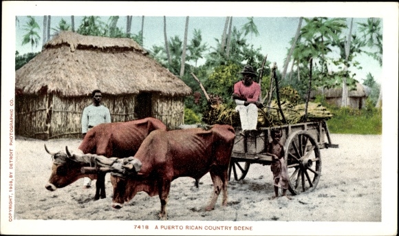 Postcard Puerto Rico, Country Scene