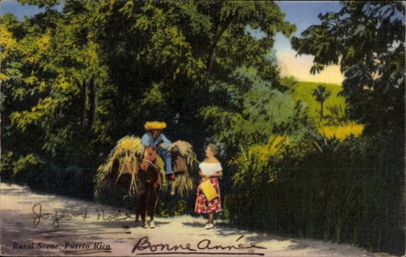 Puerto Rico, rural scene, farmer on mule