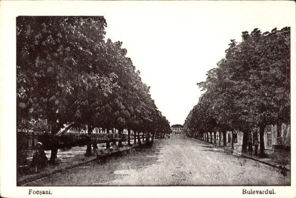 Postcard Focșani Facsani Fokschan Romania, trees, boulevard, black and white photo