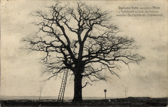 PC Phlin Meurthe et Moselle, German oak