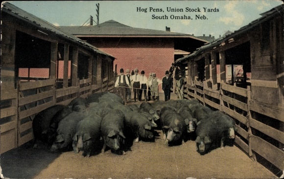 Postcard South Omaha Nebraska USA, Pigpens, Union Stock Yards