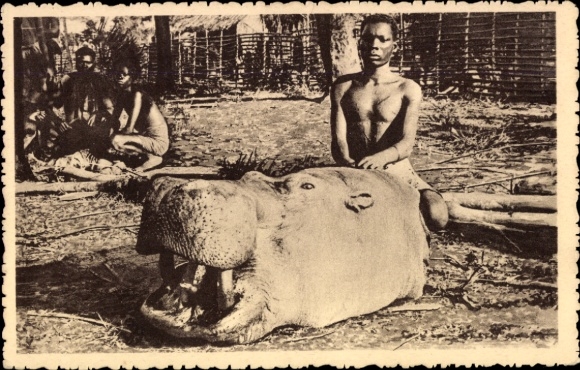 Postcard DR Congo Zaire, hippopotamus head, native