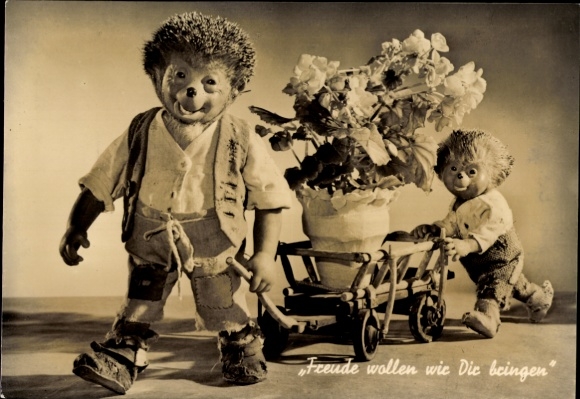 Hey Mecki the hedgehog, we want to bring you Frede, congratulations!